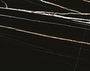 Thunder